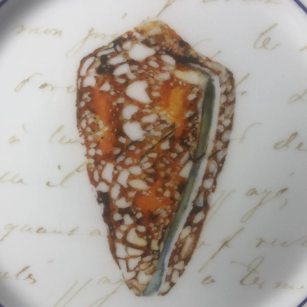 Williams Sonoma Set Seashell Salad Dessert Luncheon Plates